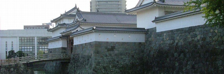 駿府城堀